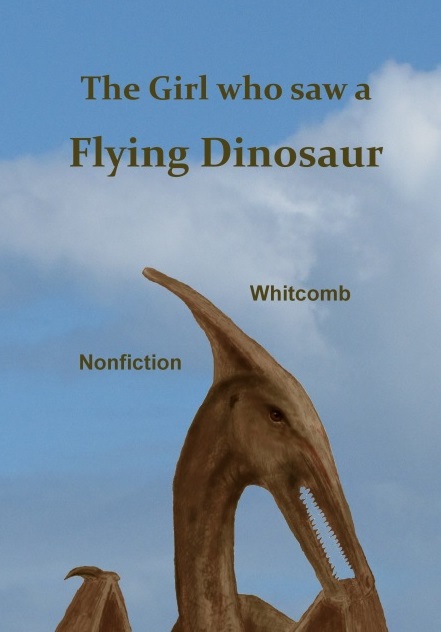 The Girl who saw a Flying Dinosaur